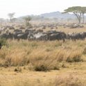 TZA SHI SerengetiNP 2016DEC25 MbalagetiRiver 022 : 2016, 2016 - African Adventures, Africa, Date, December, Eastern, Mbalageti River, Month, Places, Serengeti National Park, Shinyanga, Tanzania, Trips, Year